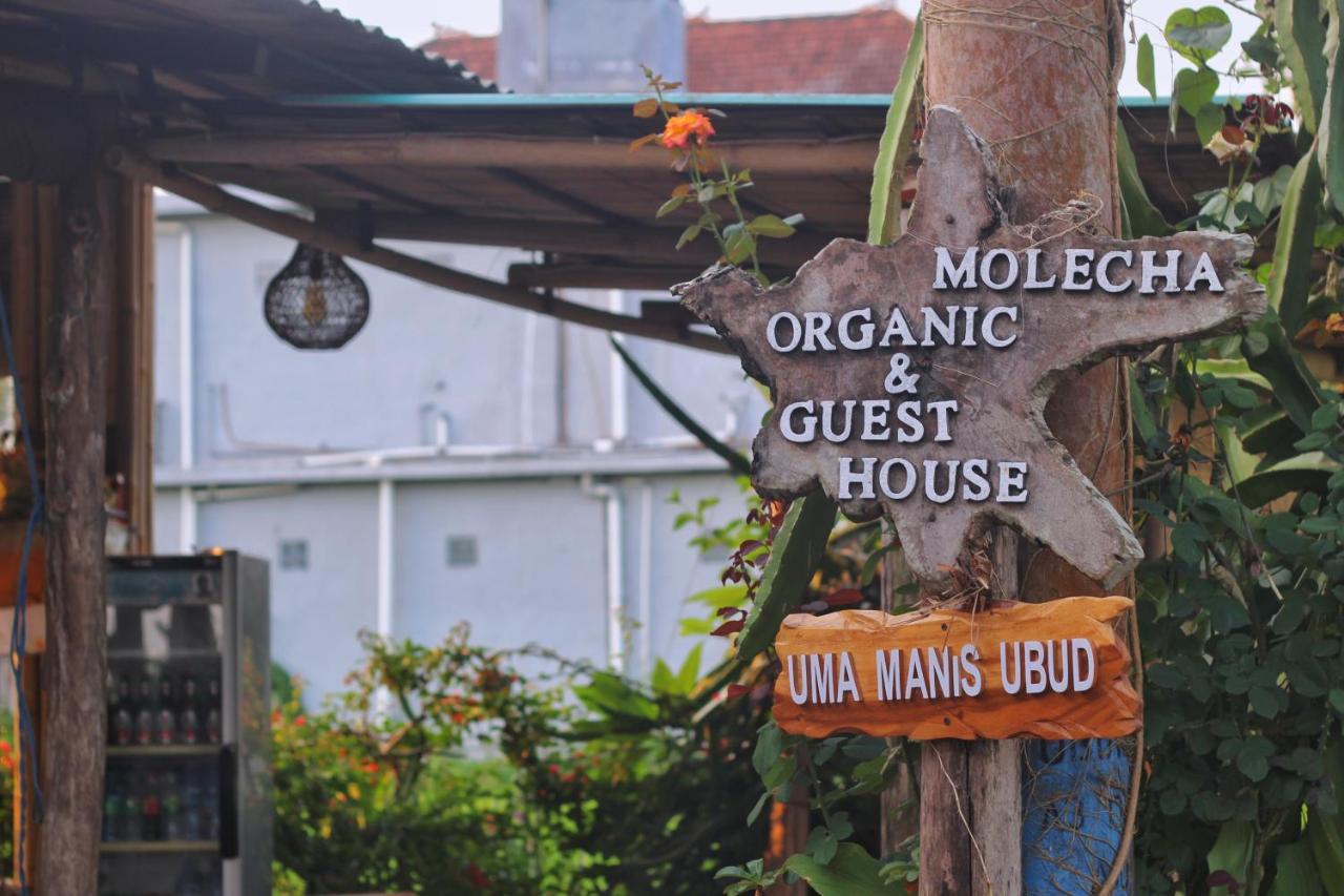 Uma Manis Ubud Екстер'єр фото